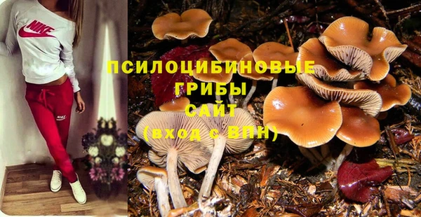крисы Балахна