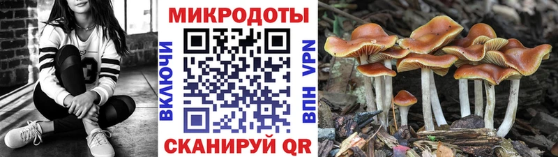 как найти закладки  hydra как войти  Псилоцибиновые грибы ЛСД  Подпорожье 